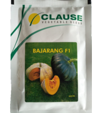 Pumpkin / Kaddoo Bajarang 50 grams